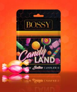 Bossy Cart - Candyland 510